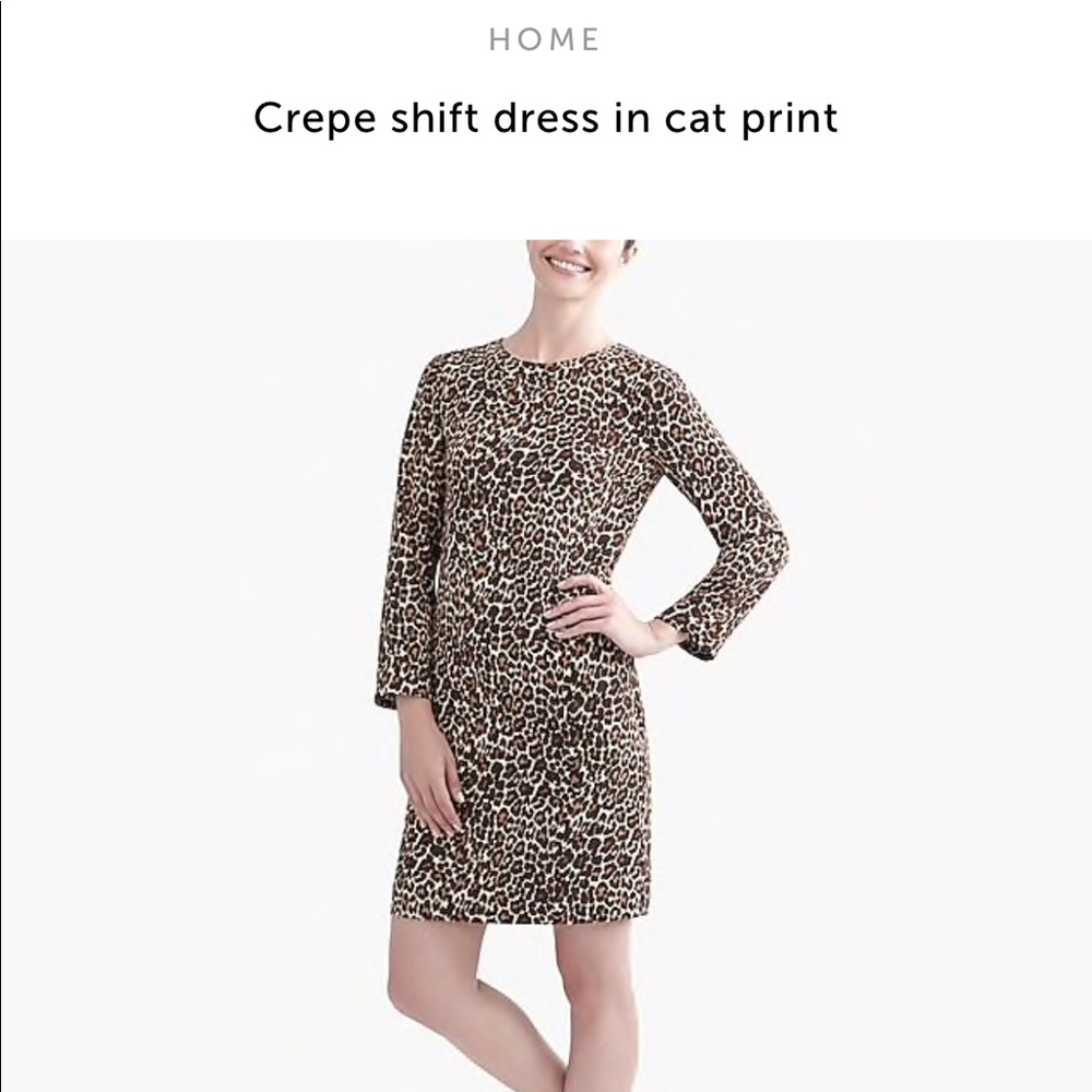 Jcrew Leopard Dress